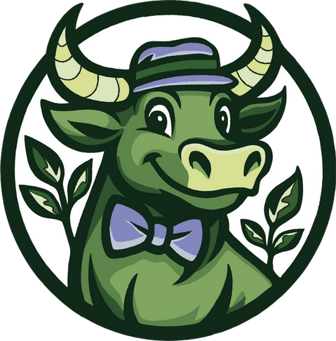 Stef Kayser Green Bull Product Design WebDesign UI&UX