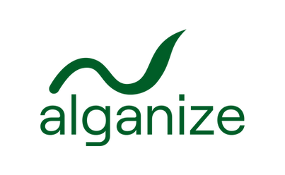 Stef Kayser alganize Graphic Design Web Design UI&UX