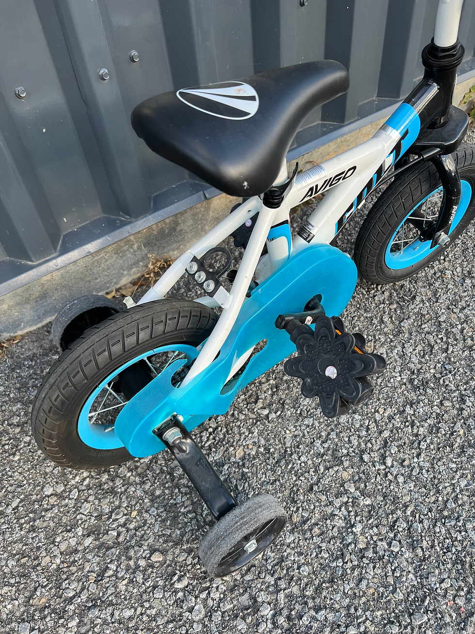 Miniature : VU AVIGO Colt 10''
