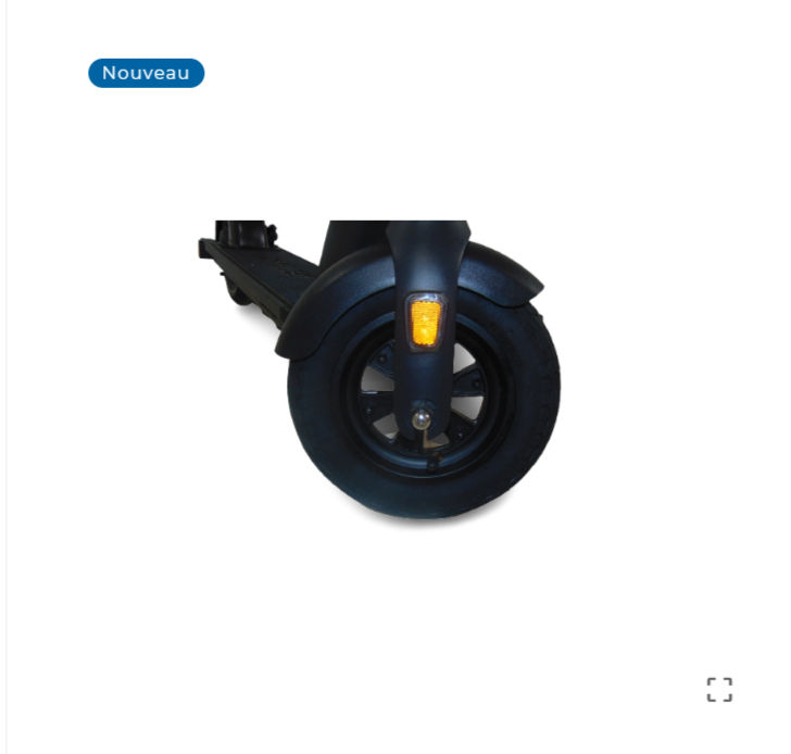 Miniature : GOTRAX G4