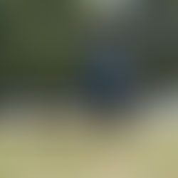 ラウンドネット日本(ラウンドネットジャパン)代表理事インタビュー