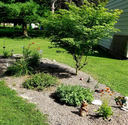 67138888_10156982340755873_1789114321305862144_n