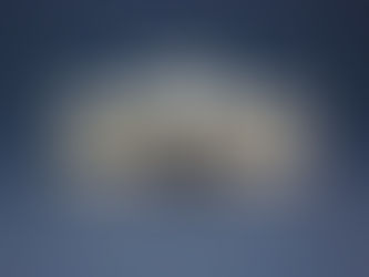 Modesty vs. Humility