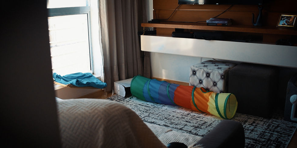 Widescreen.00_02_44_10.Still014