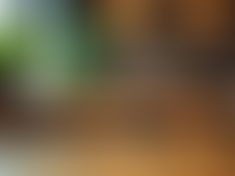 Leaf Café: A Wellness Destination