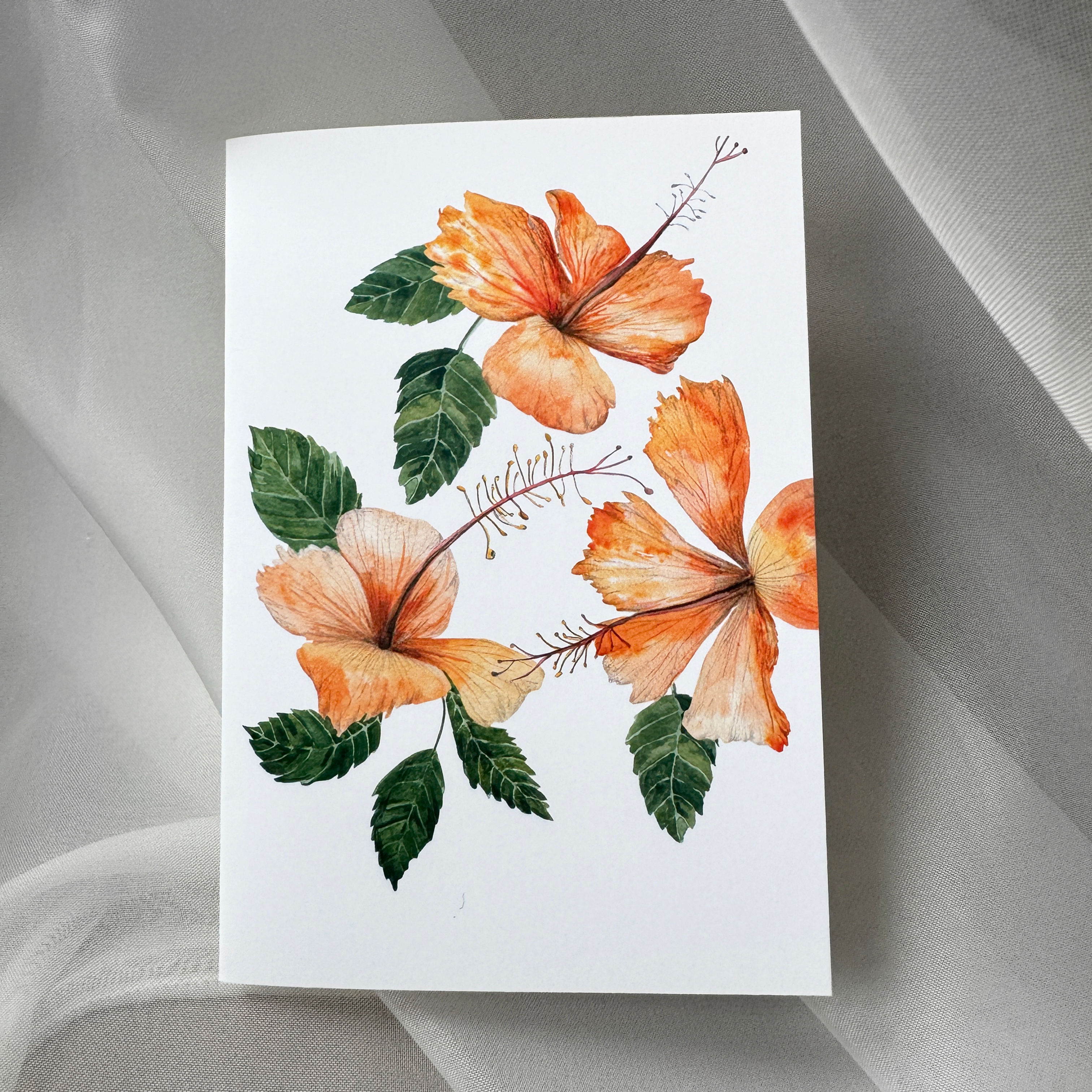 Felicitare - Hibiscus