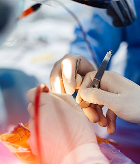 Blue and White Modern Customer Testimonial Reviews Instagram Post (3)_edited.jpg