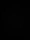 16816326741582086026360903411237.jpg