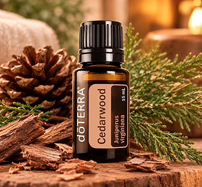 cedarwood fancy.png