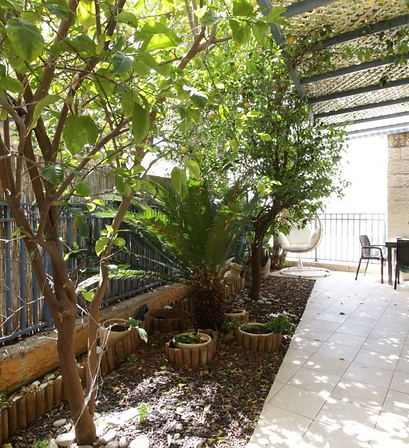 למכירה דירת 5.5 חדרים ברחוב שרה אמנו מודיעין מכבים רעות דירות יד 2 למכירה בעיר גינה 30 מ״ר