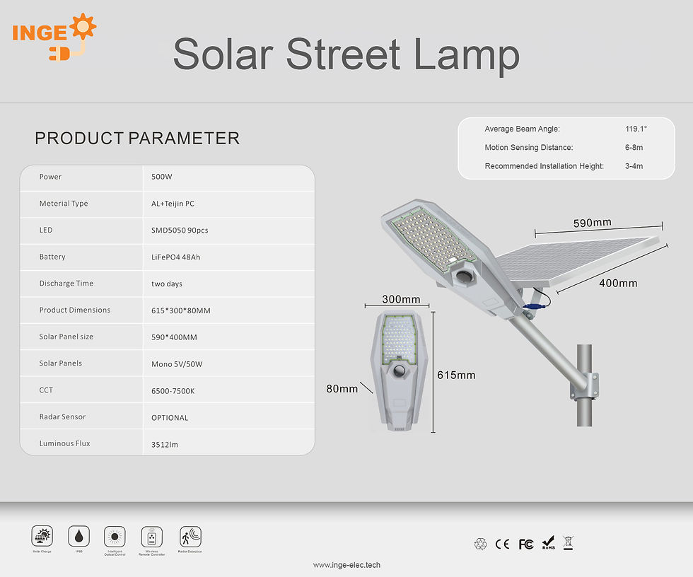 INGE - Solar Flood Light (100W).jpg