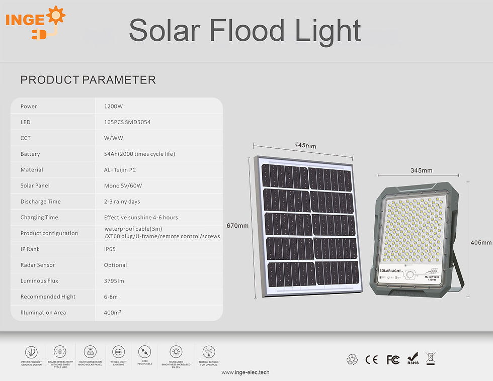 INGE - Solar Flood Light (100W).jpg