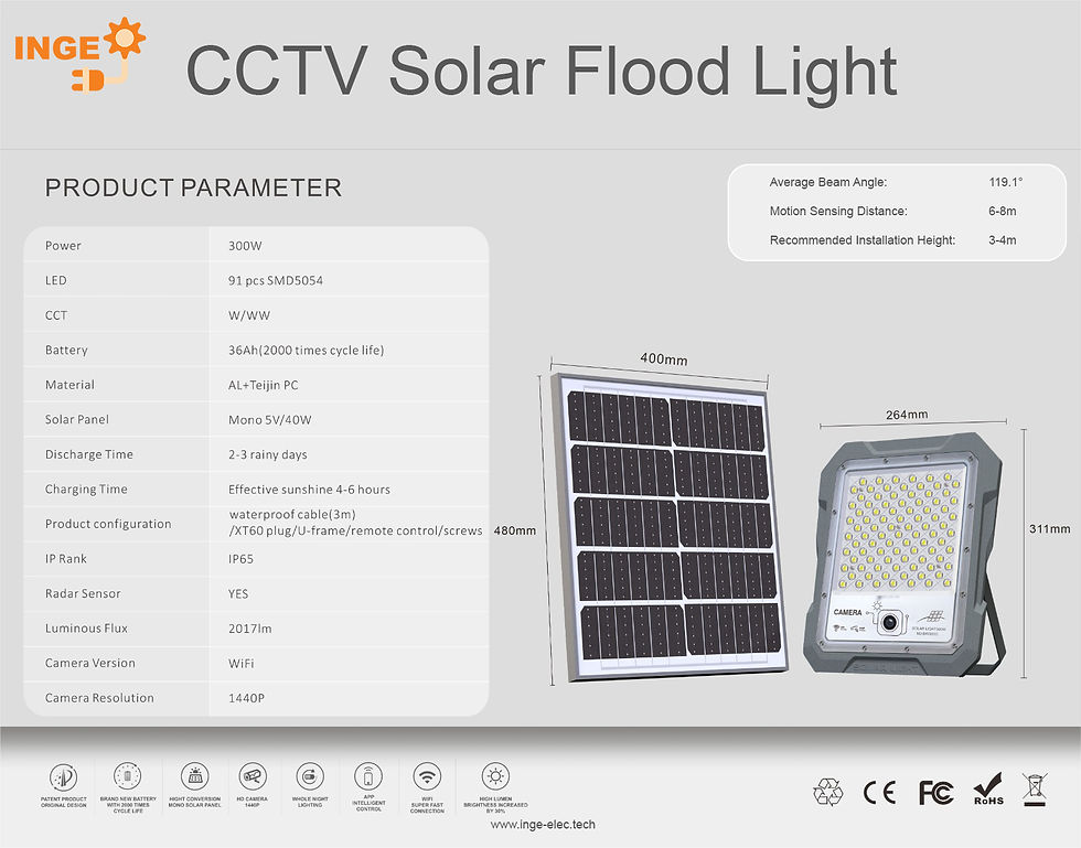 INGE - Solar Flood Light (100W).jpg