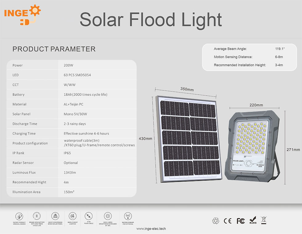 INGE - Solar Flood Light (100W).jpg