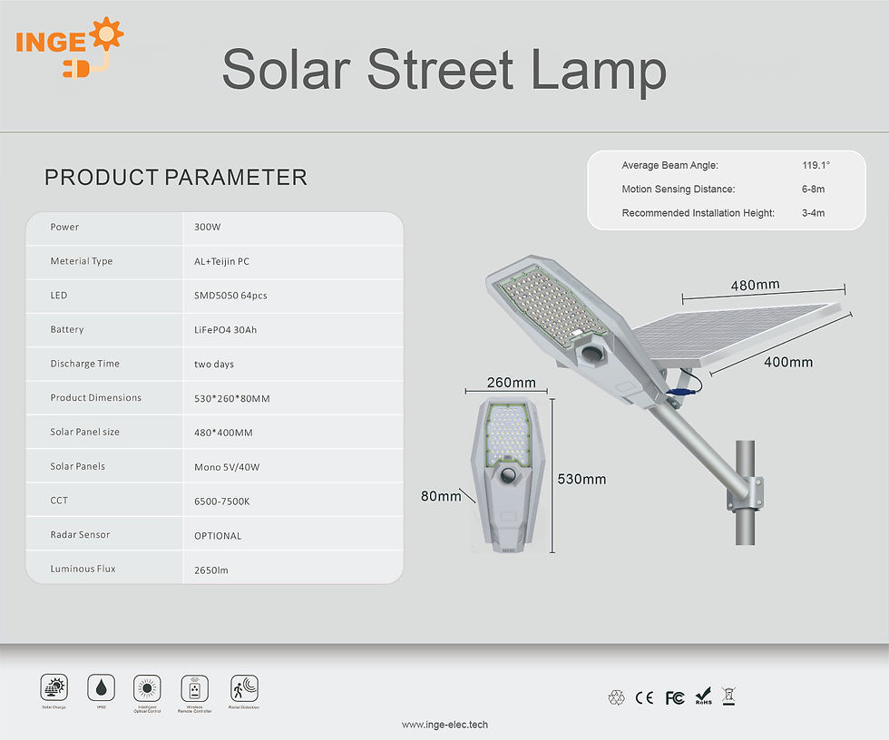 INGE - Solar Flood Light (100W).jpg