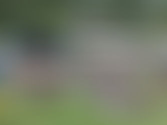 HOPE Volleyball: Your SummerFest Concert Lineup is HERE!