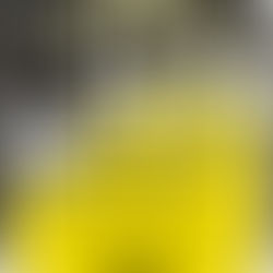 1/2 FINALE 3 MOUVEMENTS ET MOUVEMENTS INDIVIDUELS-GOURNAY EN BRAY 25 JANVIER 2026