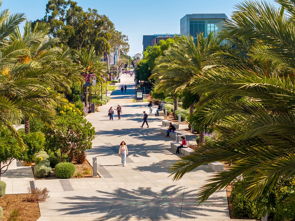 i_UCSDH_0005.jpg
