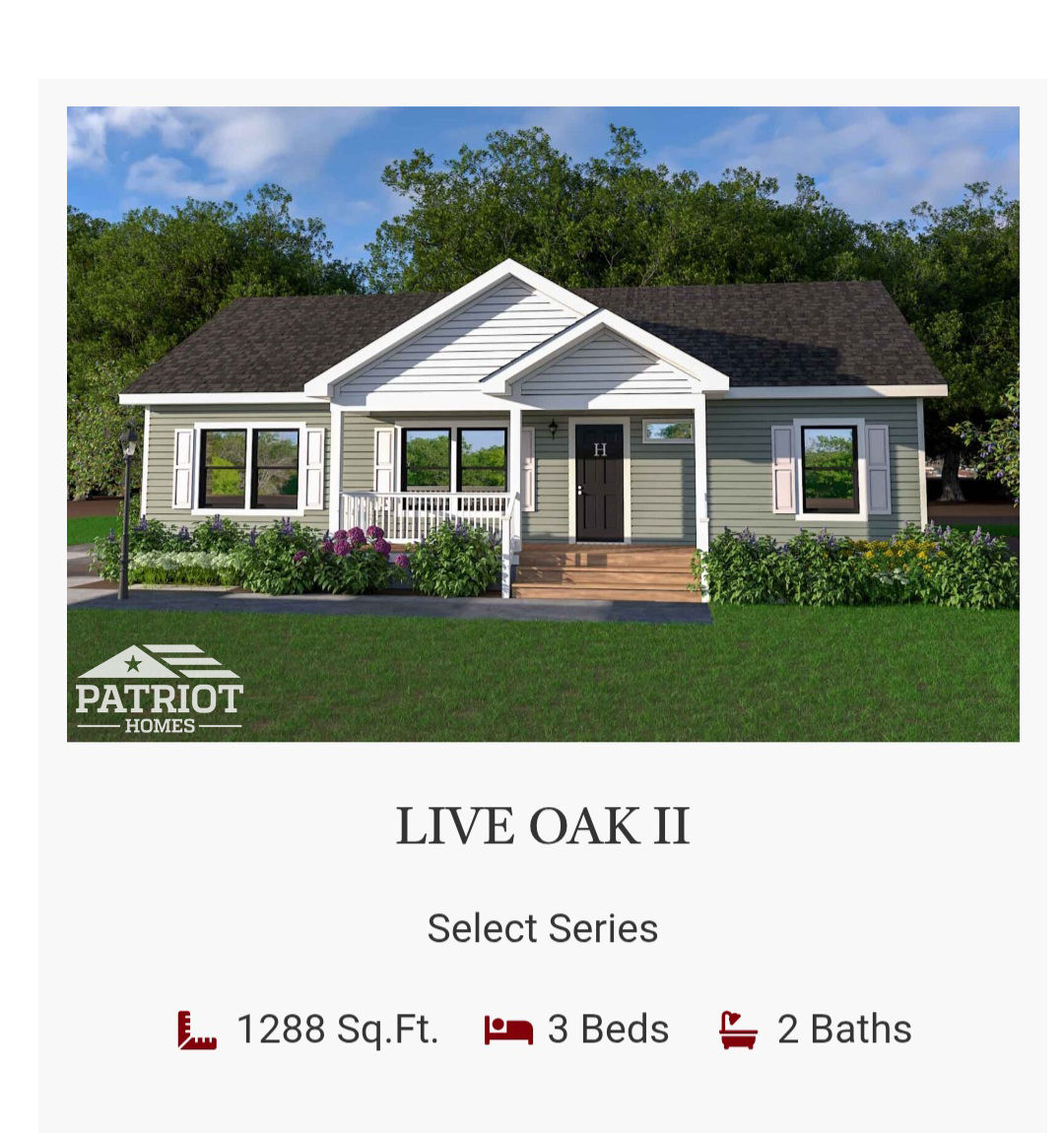 Live Oak II