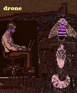 drone