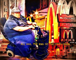 King of the food chain