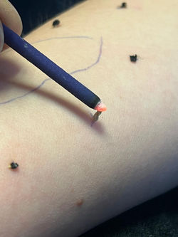 485730149_1175331804603182_6906427538260572592_n