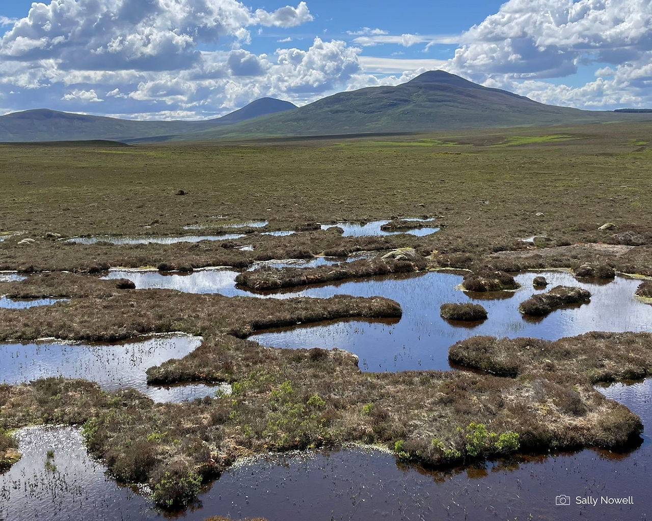 Forsinard Pools - Flow Country