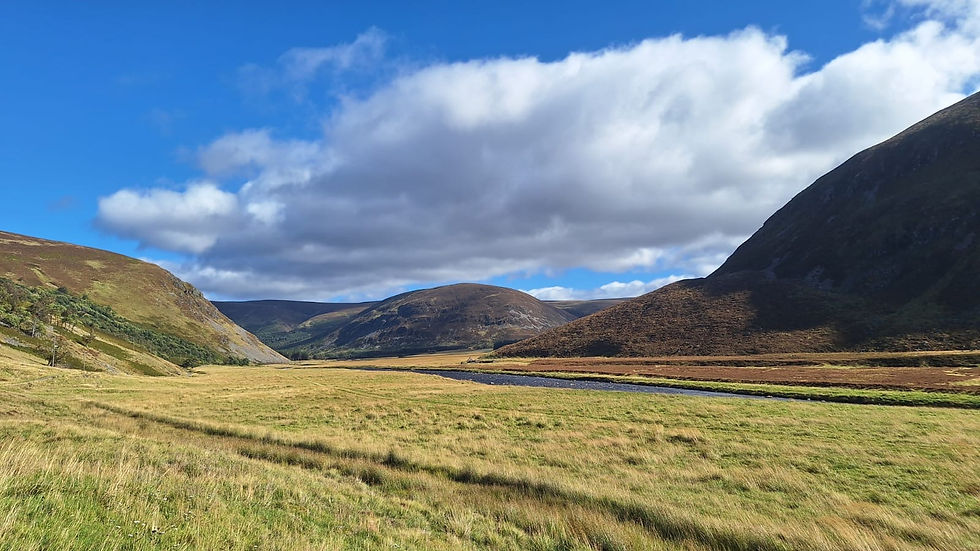 Grassy mountain valley with a winding river under blue sky and large clouds.
