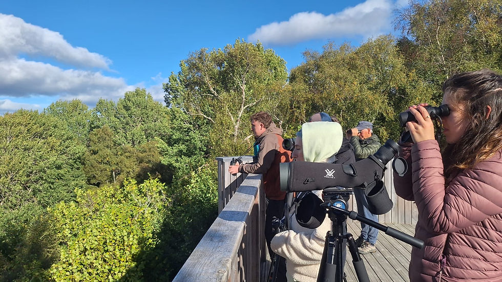 People birdwatching on a wooden viewing platform, using binoculars and a spotting scope above green trees under a blue sky.