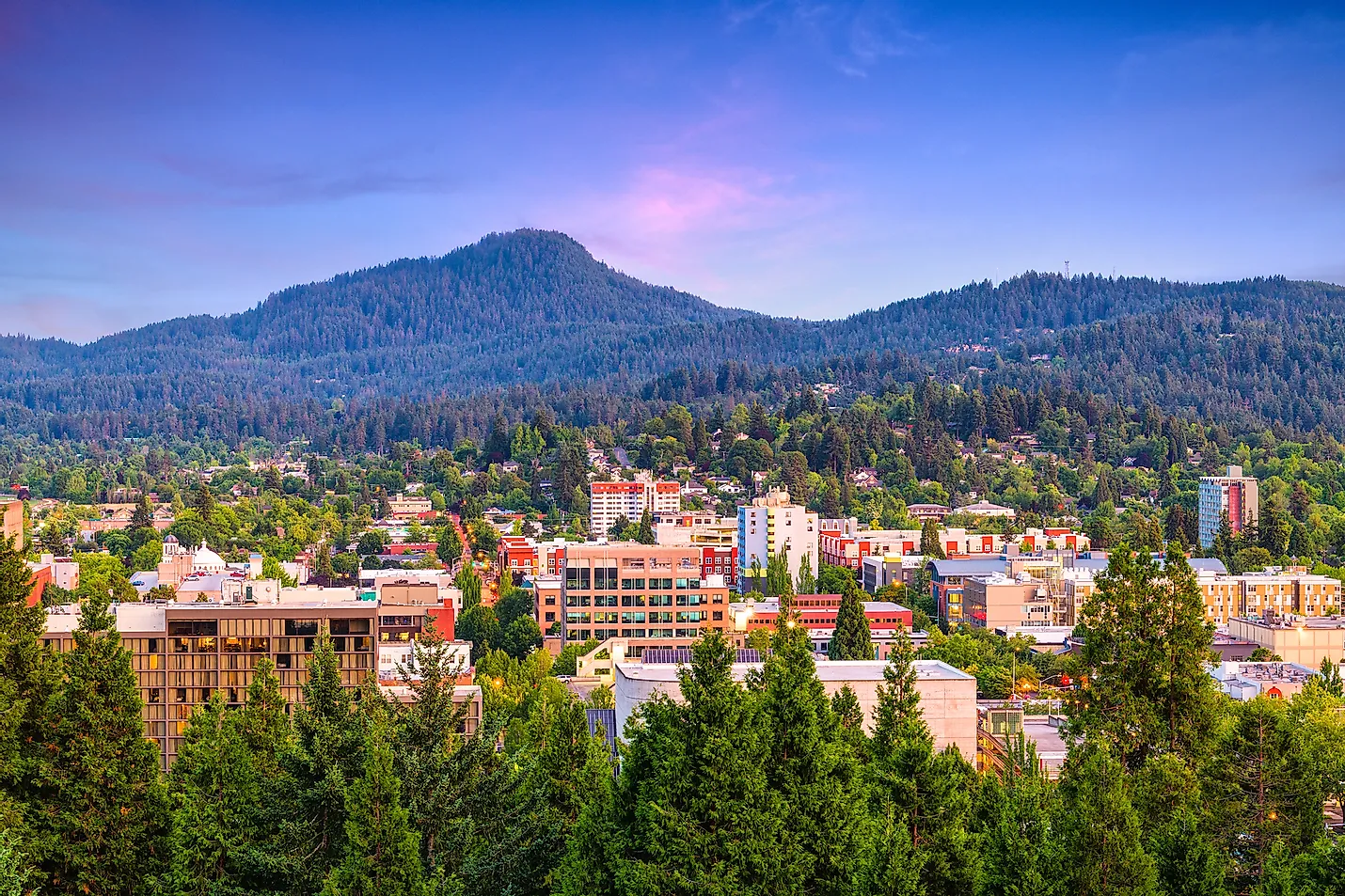eugene-1125525101.webp