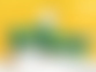 Các thương hiệu Vitamin và khoáng chất nổi tiếng hiện nay