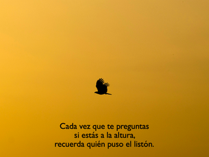 Autoexigencia y Perfeccionismo