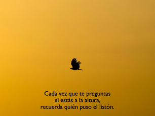 Autoexigencia y Perfeccionismo