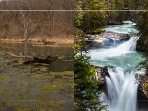 Propósitos Año Nuevo