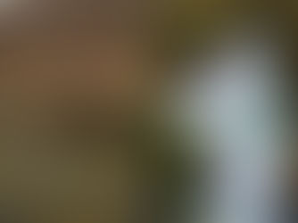 Propósitos Año Nuevo