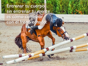 Entrenar correctamente