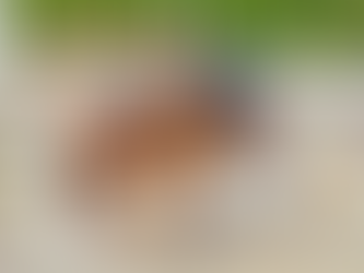 Entrenar correctamente