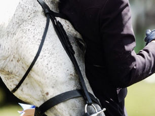 Conexión verdadera.