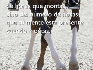 Equitación Consciente