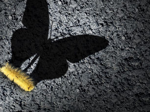 Si quieres llegar donde la mayoría no llega, necesitas ver lo que la mayoría no ve.