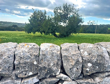 Hyblaean countryside