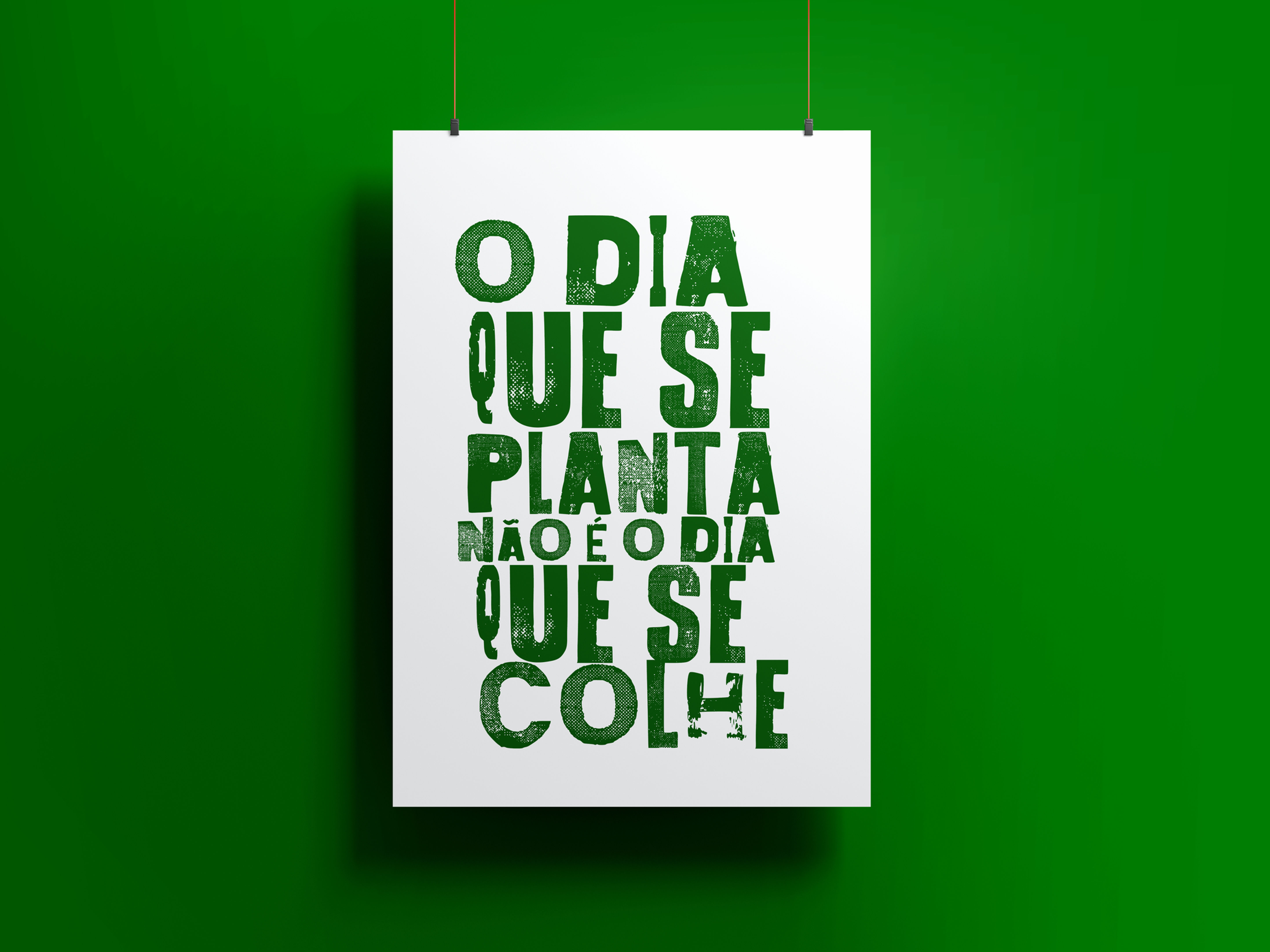 Arte - O dia que se planta