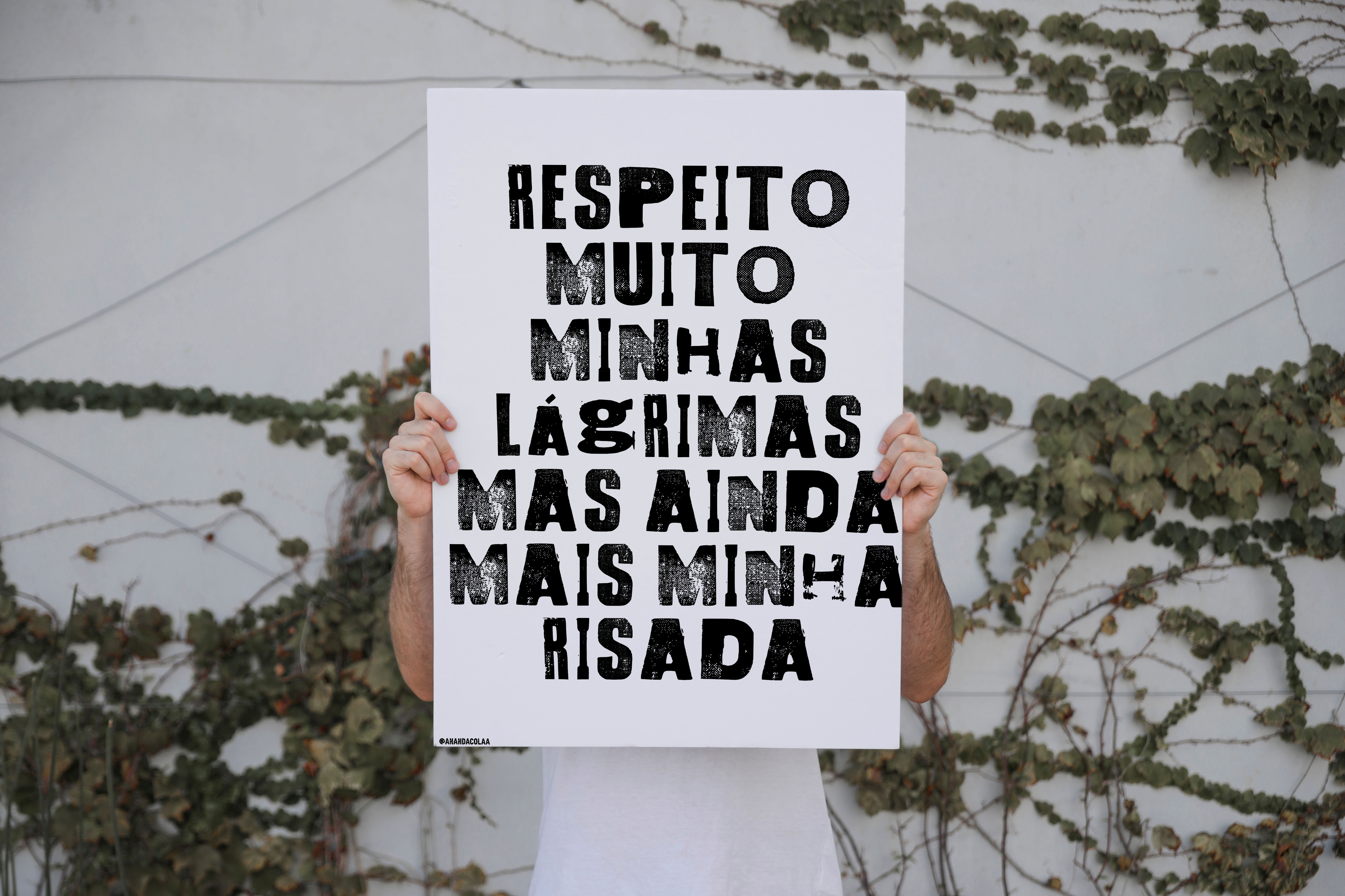 Arte - Vaca Profana - A2