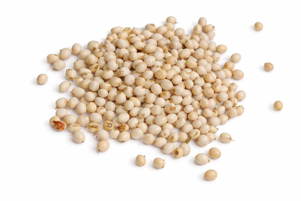 Safed Chirmi Seed