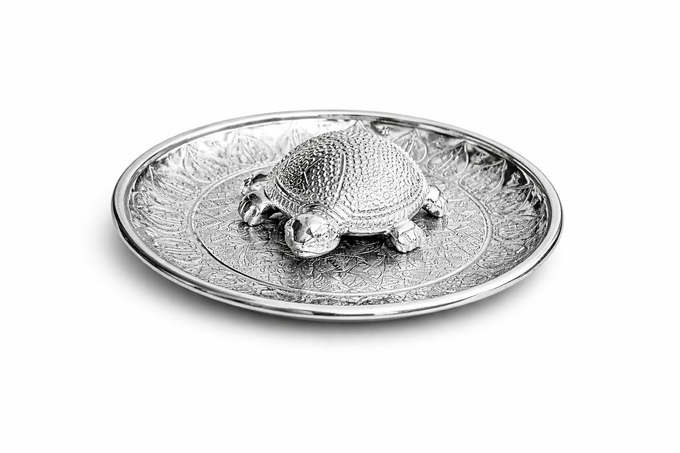 Thumbnail: Vastu Feng Shui  Turtle