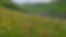 2021-07-04 12.03.57.jpg