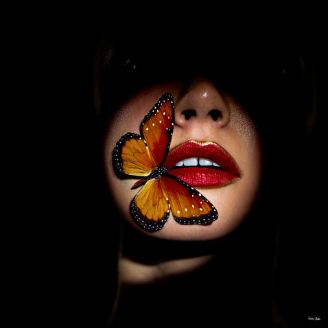© Giuliano Bekor Butterfly Series B40.jpg