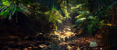 AdobeStock_126225051.jpeg