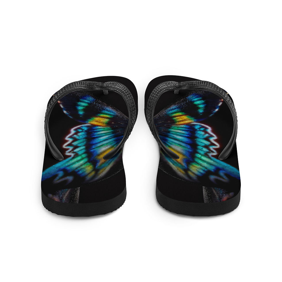 תמונה ממוזערת: Flip-Flops
