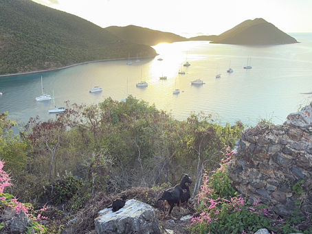 Hidden Anchorages in the Virgin Islands